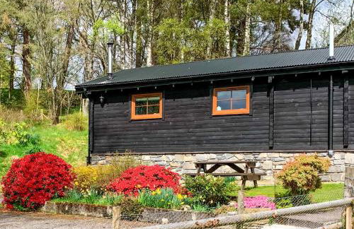 Squirrel View - Foto 1