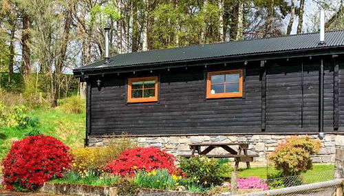 Squirrel View - Foto 1