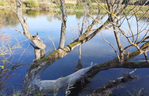 Przystań Mielnów - Foto 45