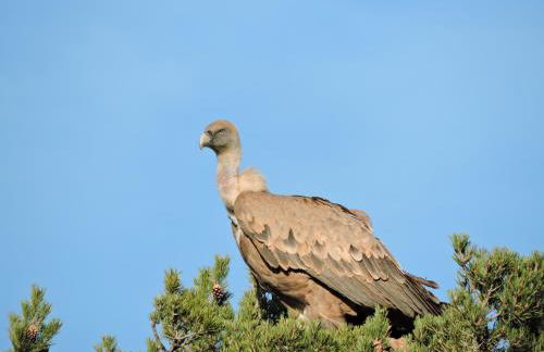 Casa Rural " LA PARRA" - Foto 24