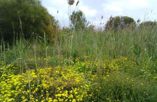 Nice apartment on the coast to relax and work - Foto 29