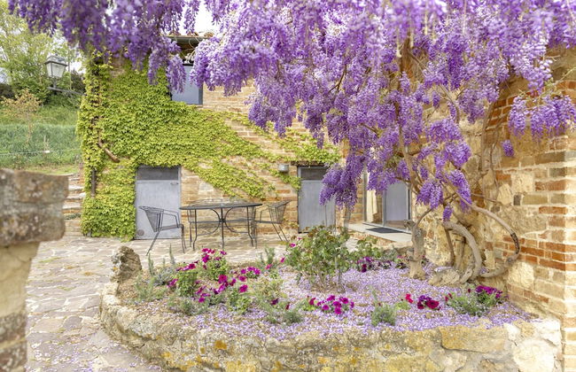 Agriturismo Il Serraglio - Foto 44