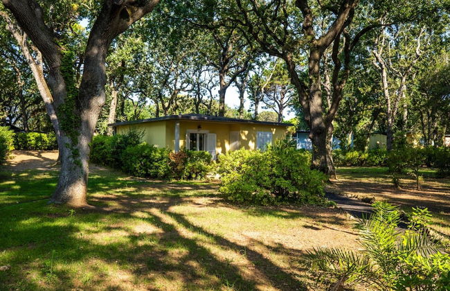 Bungalow in San Vincenzo With Pool - Foto 31