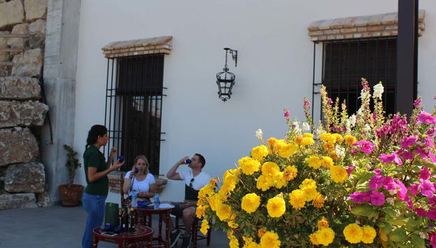Visita a la fábrica y museo de Aceites Molisur con cata - Foto 4, Probaremos diferentes aceites