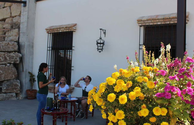 Visita a la fábrica y museo de Aceites Molisur con cata - Foto 4