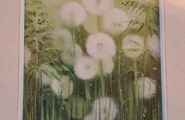 Ciasa Erica - Val di Non - Foto 73