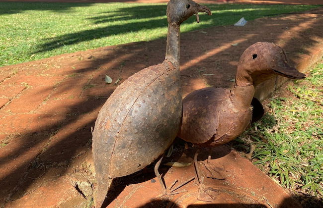 Luxurious 4 bed With Pool in Helensvale - 2255 - Foto 10