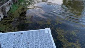 3 BR Channel House with Dock - Foto 5