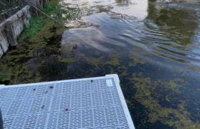 3 BR Channel House with Dock - Foto 5