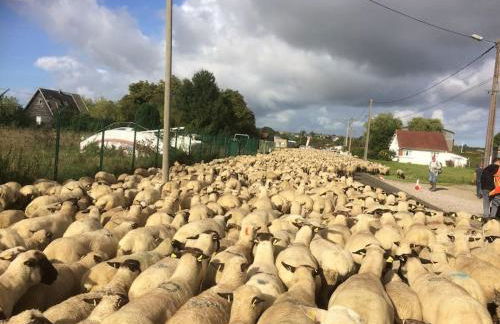 AUTHENTIQUE MAISON DE PECHEUR ENTRE-TERRE & MER Avec Un POÊLE À BOIS A Disposition - Foto 78