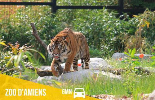 Le RUBIS - 2 Chambres - Centre ville - Foto 21