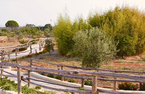 Tenuta Serre - Foto 7