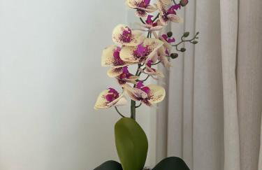 Apartamento no Iloa Residence - Com Enxoval Completo - Foto 45