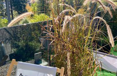 Villa Makuchówka - Foto 10