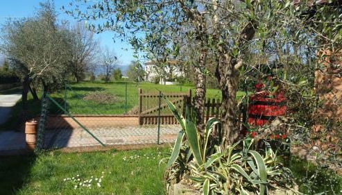 Ulivo Della Querce - Foto 4, Garden