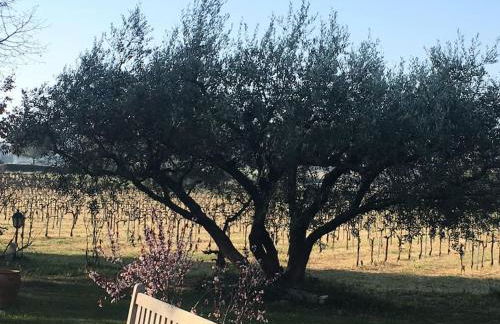 L'annexe de L' Bergerie - L’ Ardèche - Via Rhona - Foto 19