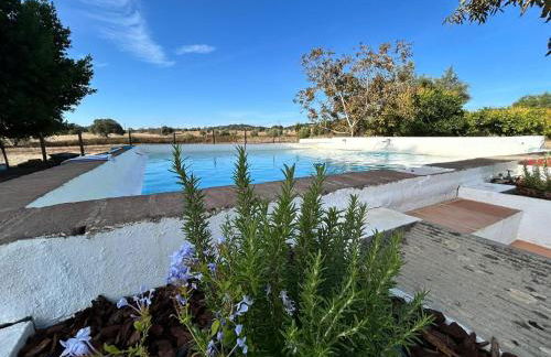 Quinta do Céu Tranquilidade e Piscina no Alentejo - Foto 46