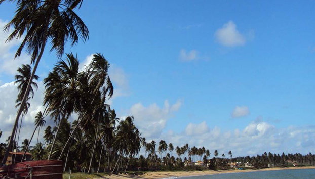 Explora las piscinas naturales de Praia de Paripueira - Foto 3