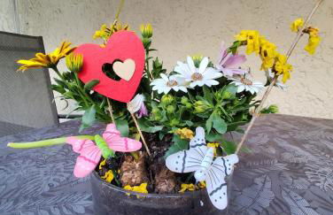 Ferienwohnung Bamberger mit Wintergarten Schmalkalden - Foto 32