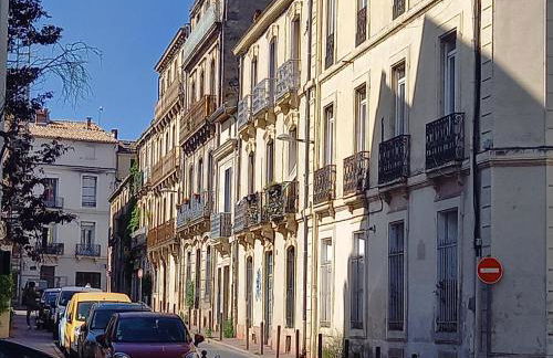 Appartement cosy 60m², proche gare St Roch et centre. - Foto 2