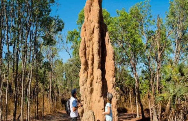 Coastal Magnificence Pool Workspace Parking - Photo 43
