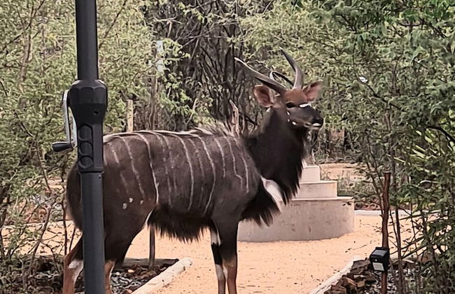 The Dreamcatcher Lodge - Photo 49