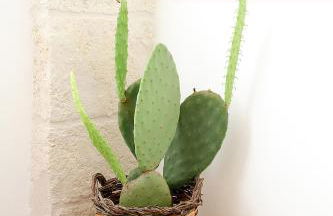 Casa Donnalby - Foto 71