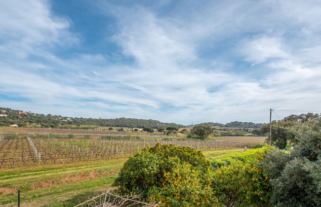 Villa Marenco - Foto 16