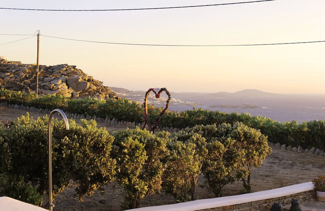 Paradisia Villas - Photo 79