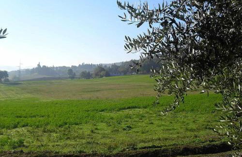 Appartamenti con cucina nelle colline toscane - Foto 49