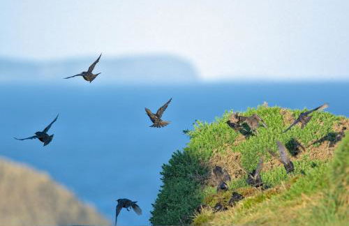 The Workshop- Eco Cottage by the Coastal Path - Photo 49