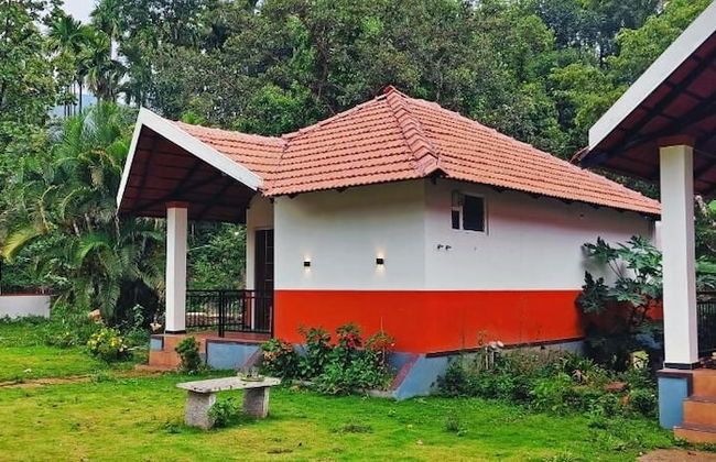 Nature Valley Resort - Foto 44