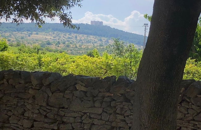 Ai Pilieri di Bagnoli - Foto 69