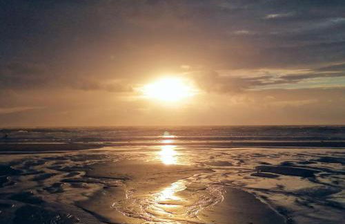 Ste Cécile Plage - Foto 32