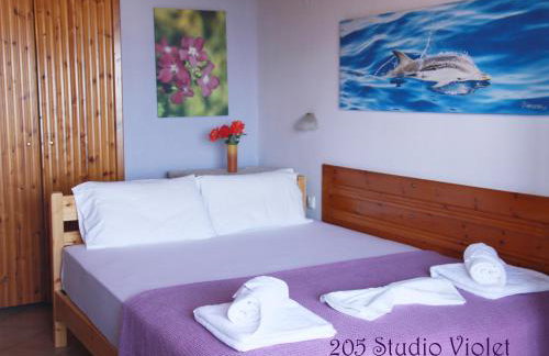 Fasoli Studios - Foto 24