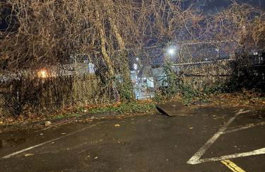 Barnes Avenue near Yale - Foto 21