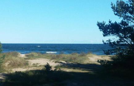 Ferienwohnung Rügen-Freiheit - Foto 29