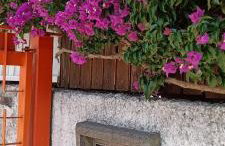C e G House - Foto 4
