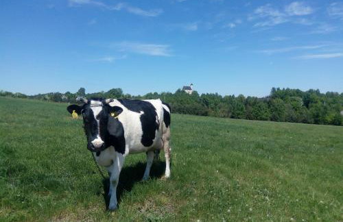 Nasza Wioska - Foto 77