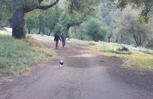 Harrison Serenity Ranch - Groups over 50 - Foto 13