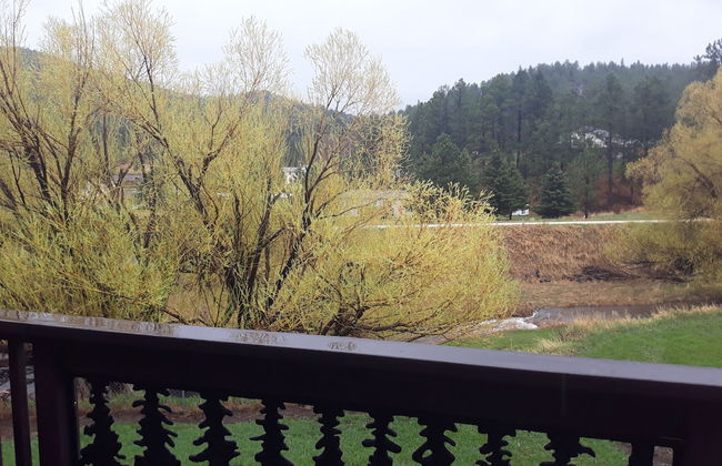 Alice's Black Hills Cottage - Foto 22