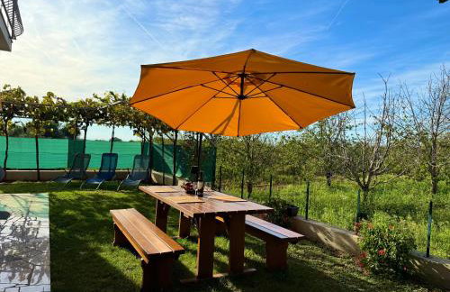 Apartman S&B - Foto 7