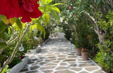 Seaside Studios Arkasa Karpathos - Photo 12