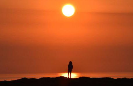 Gwilym's Stable - Foto 18