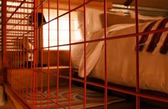 Crows Nest Treehouse At El Mistico Ranch - Foto 36