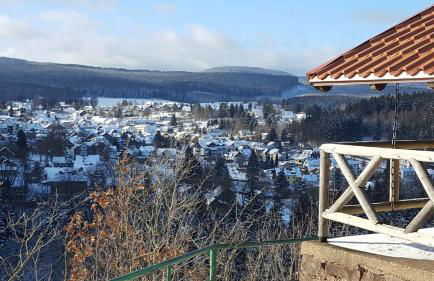 Moderne Komfortwohnung im Kurort am Rennsteig - Foto 36
