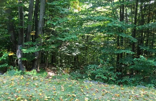 Blueberry Lake Resort - Photo 41