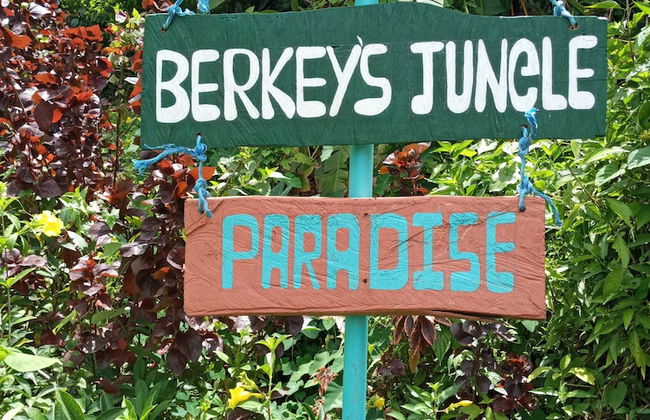 Berkey's Jungle Paradise - Photo 44