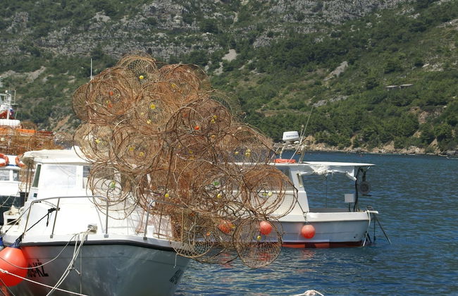 Traditional House With two Apartments - Foto 51