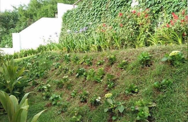 Rock Ooty Heritage Villa - Foto 35